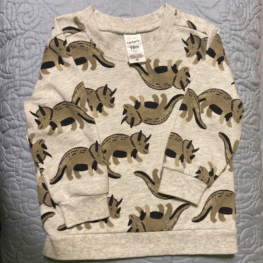 Cater’s Dinosaur sweatshirt